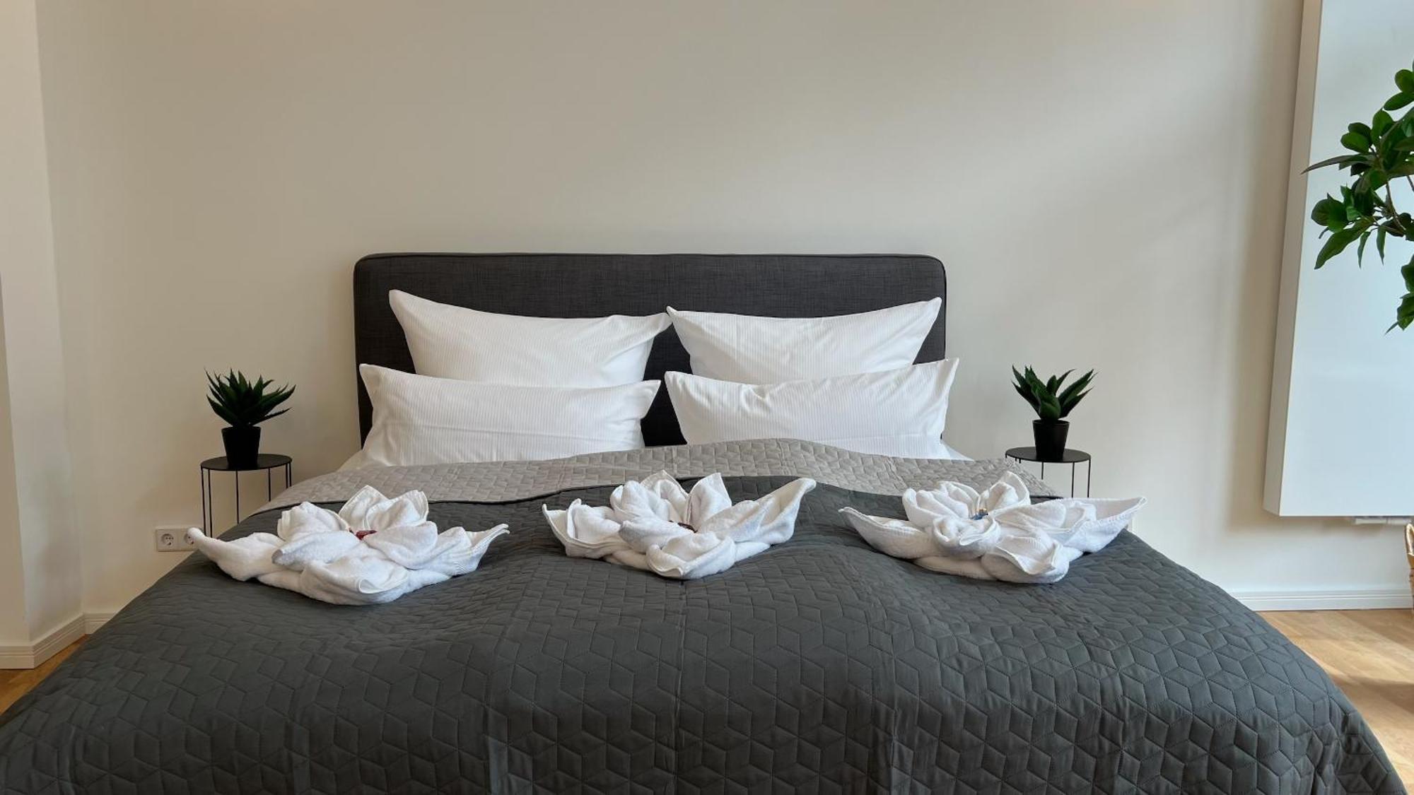 Neu! City-Loft-Apartment Im Goethe Palais I 5P I Lift I Parkplatz I Zentrum I Helios Aue  Eksteriør bilde